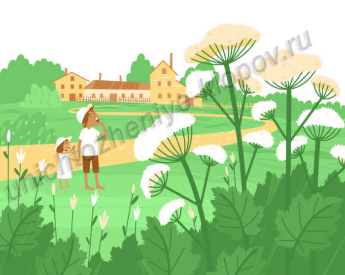 Борьба с борщевиком МОСОБЛСЭС