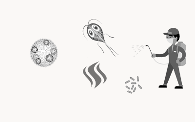 Дезинфекция и дезодорация Квартиры